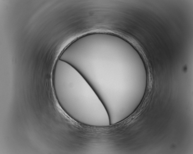 X0000115580958200911100951