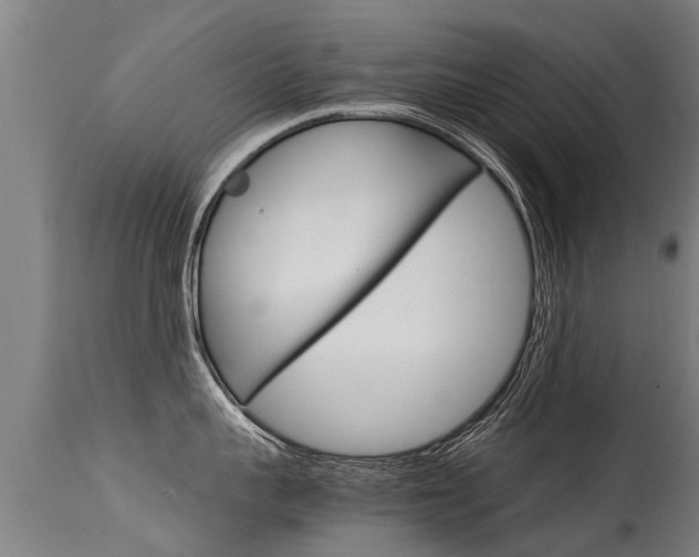 X0000115580959200911100951