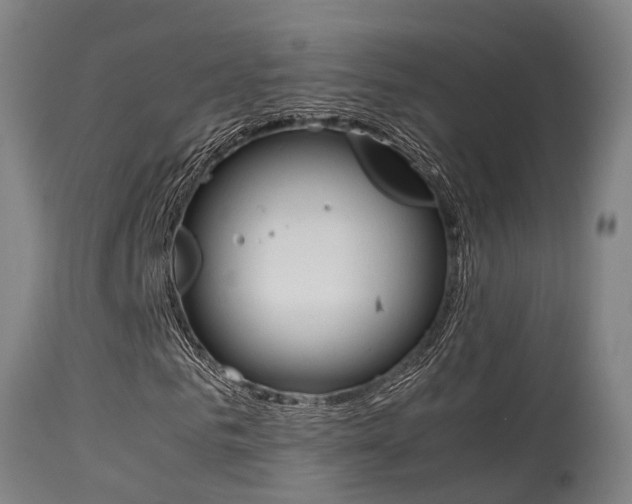 X0000115580961200911100950
