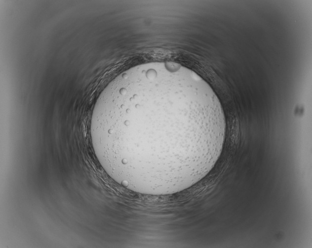 X0000115580962200911100950