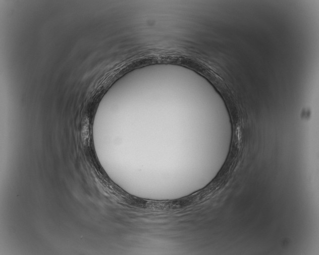 X0000115580963200911100950