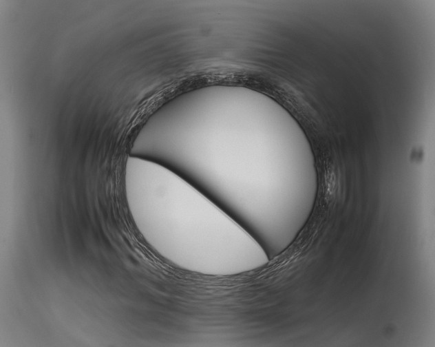 X0000115580964200911100950
