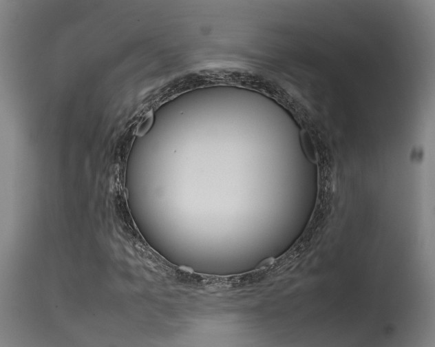 X0000115580965200911100950