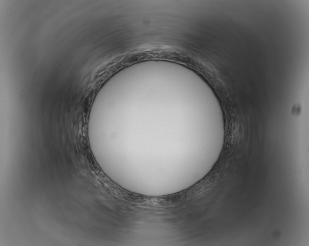 X0000115580966200911100950