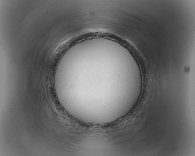 X0000115580967200911100950