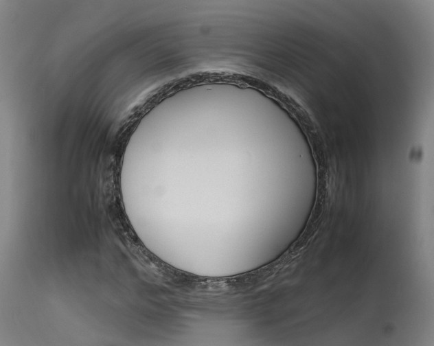 X0000115580968200911100950