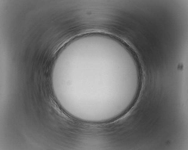 X0000115580969200911100950