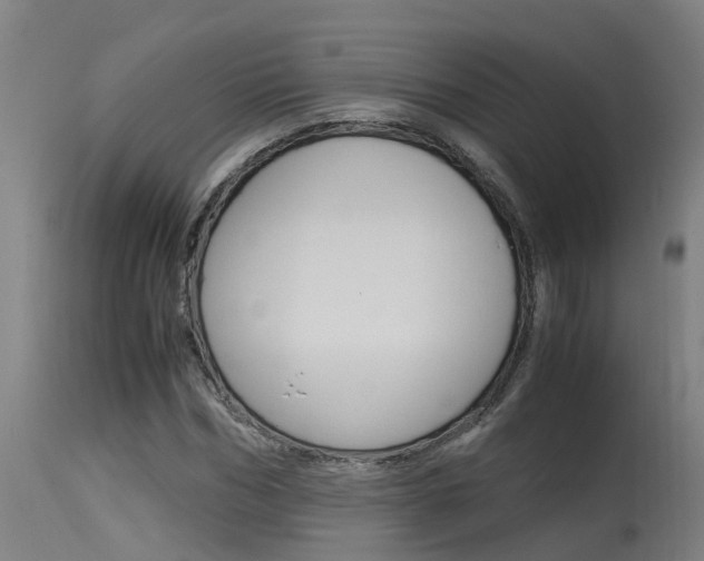 X0000115580970200911100950