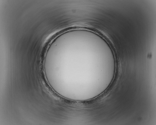 X0000115580971200911100950