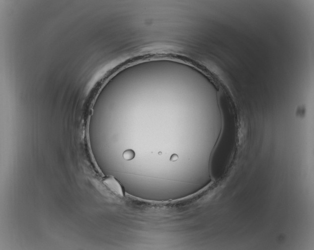 X0000115580973200911100950