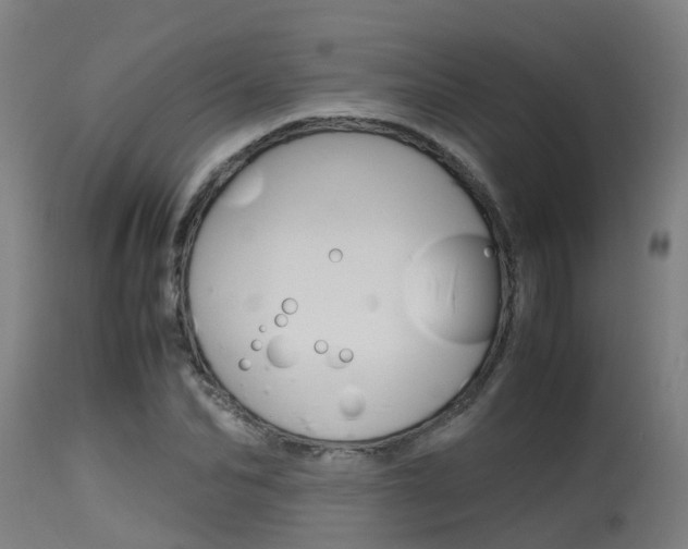 X0000115580974200911100950