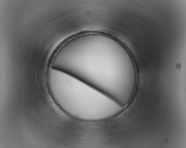 X0000115580976200911100950