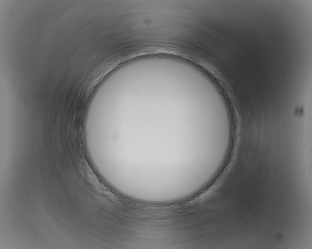 X0000115580977200911100950