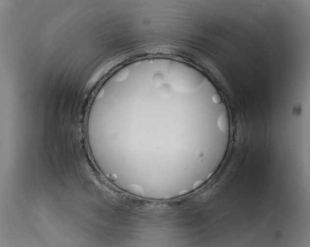 X0000115580978200911100950