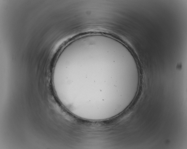 X0000115580979200911100950