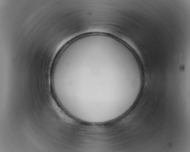 X0000115580980200911100950