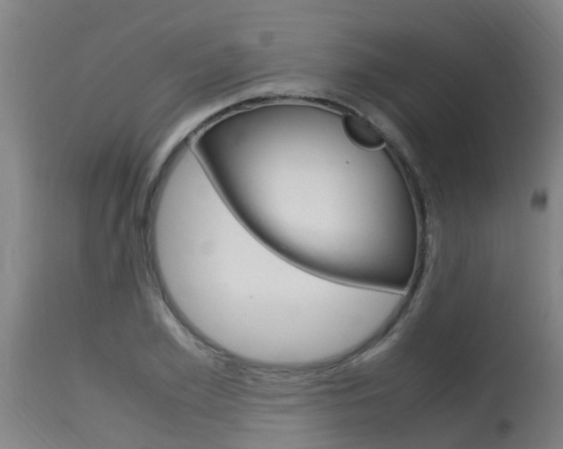 X0000115580981200911100950