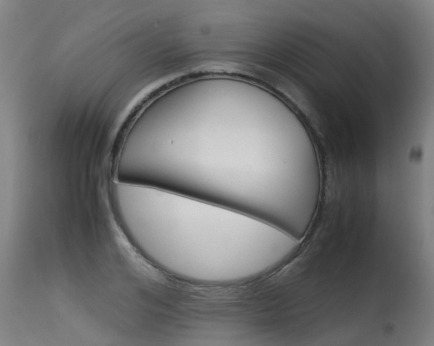 X0000115580984200911100950
