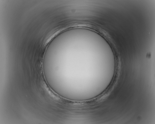 X0000115580985200911100950