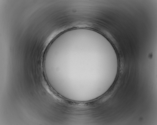 X0000115580986200911100950