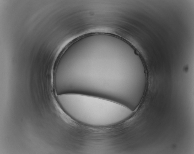 X0000115580988200911100950