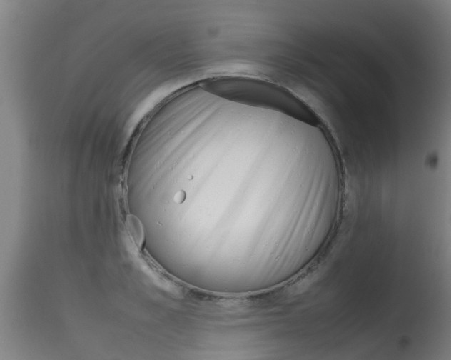 X0000115580989200911100950