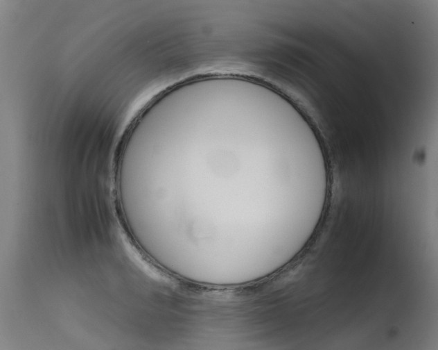 X0000115580990200911100950