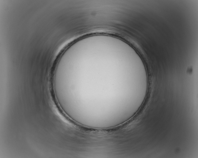 X0000115580991200911100950