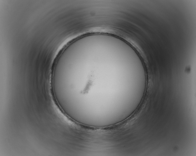 X0000115580992200911100950