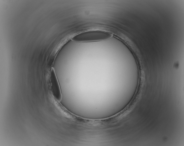 X0000115580993200911100950