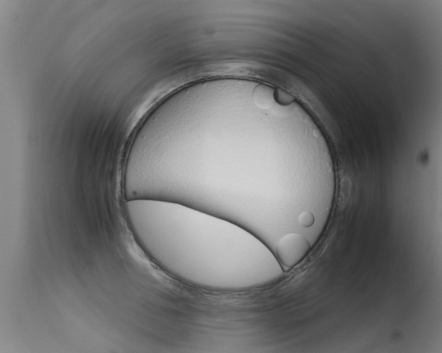 X0000115580994200911100950