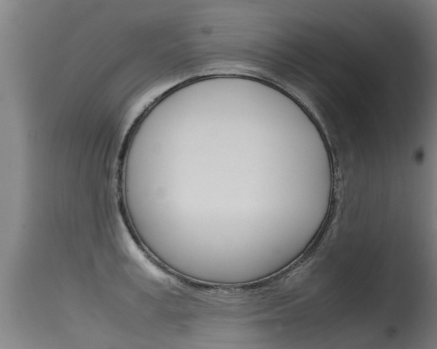 X0000115580995200911100950