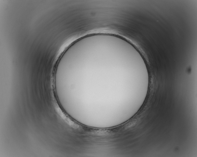 X0000115580998200911100950