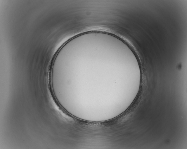 X0000115580999200911100950