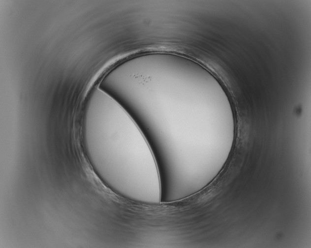 X0000115581000200911100950