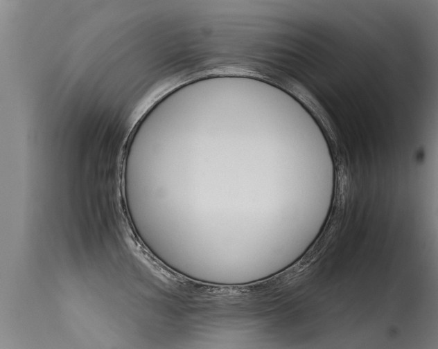 X0000115581002200911100950