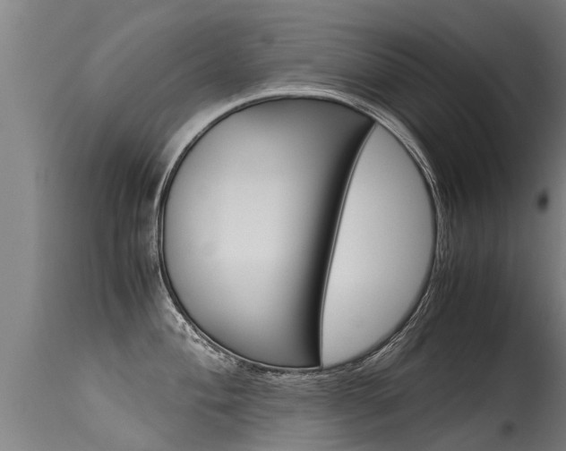 X0000115581004200911100950