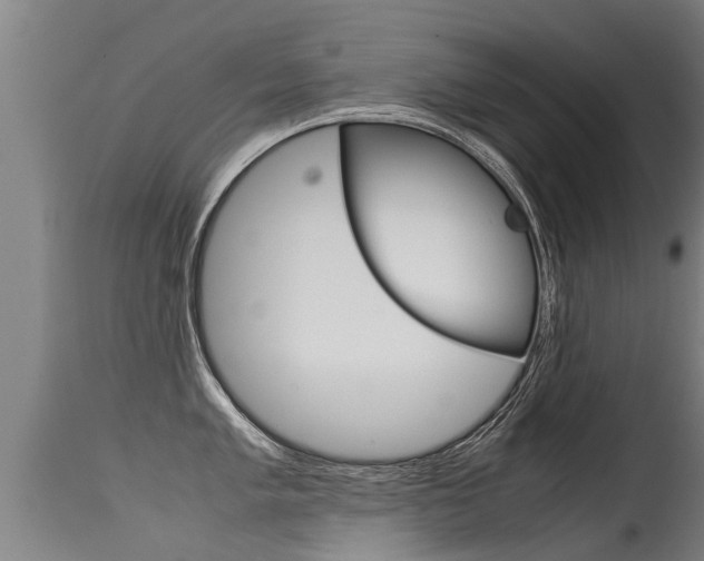 X0000115581005200911100950