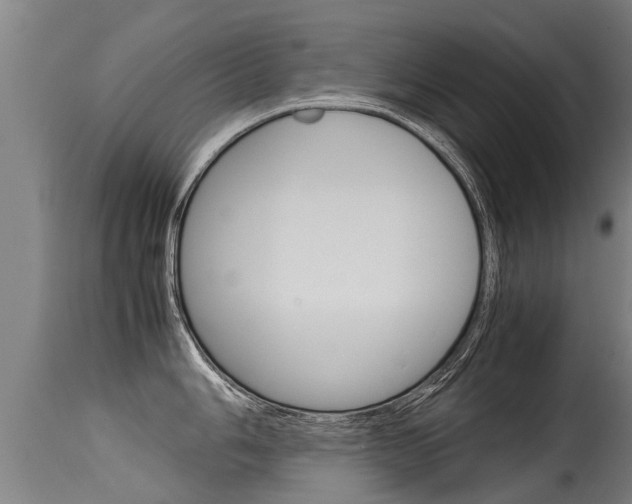X0000115581006200911100950