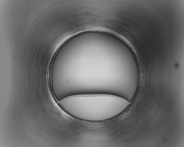 X0000115581007200911100950