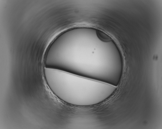 X0000115581008200911100950