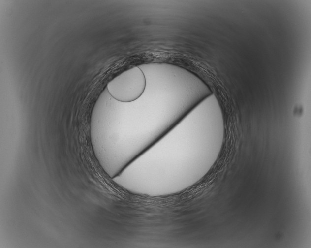 X0000115581009200911100949
