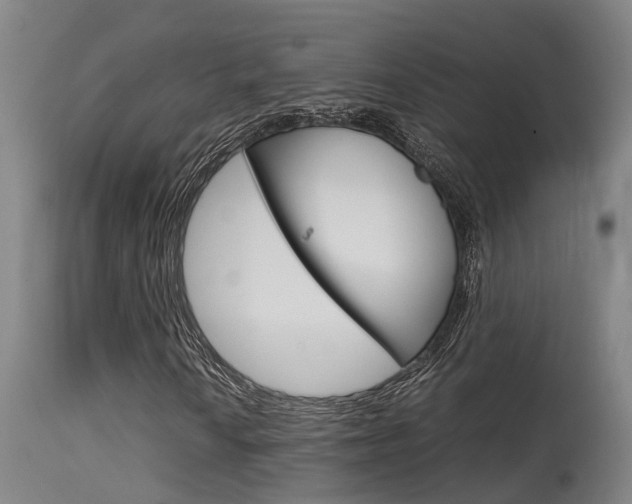 X0000115581010200911100949
