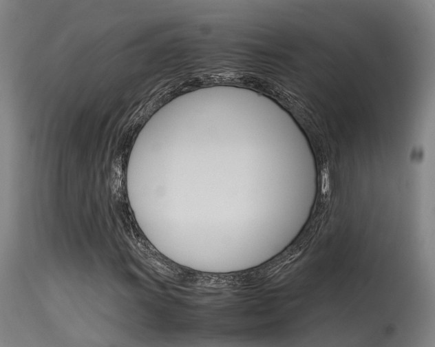X0000115581011200911100949