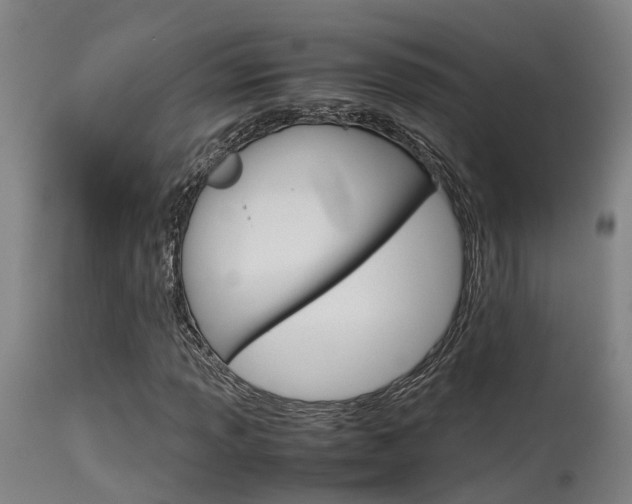 X0000115581013200911100949