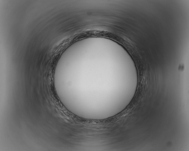 X0000115581014200911100949