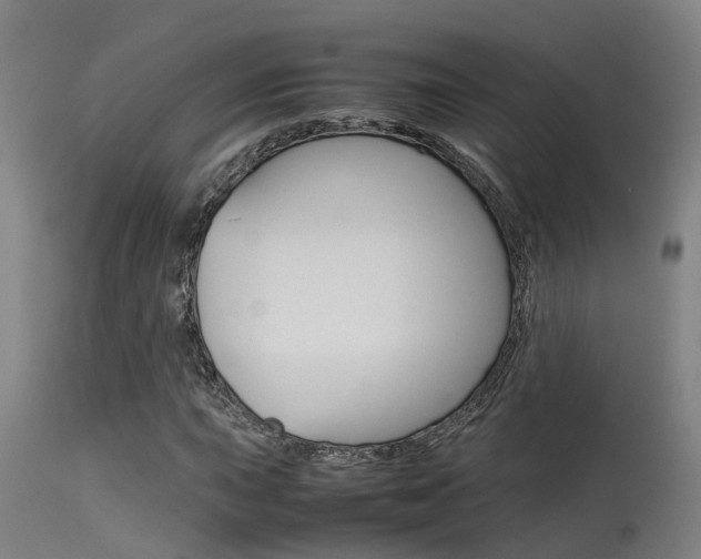 X0000115581015200911100949