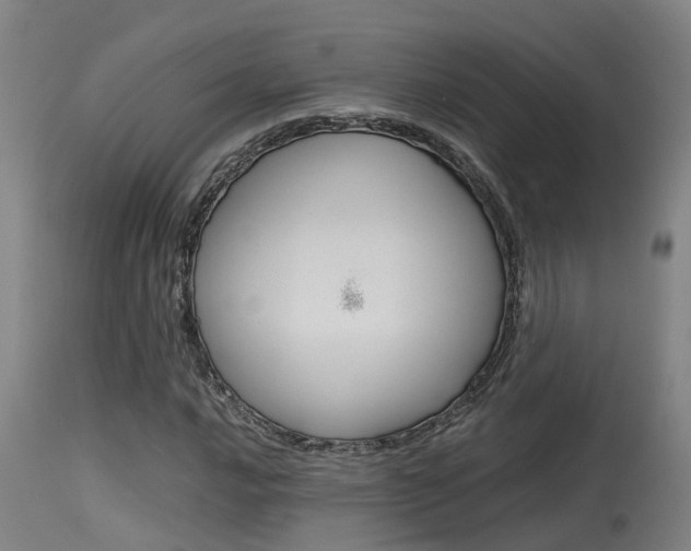 X0000115581016200911100949