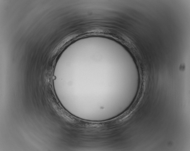 X0000115581017200911100949