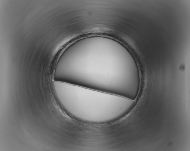 X0000115581018200911100949